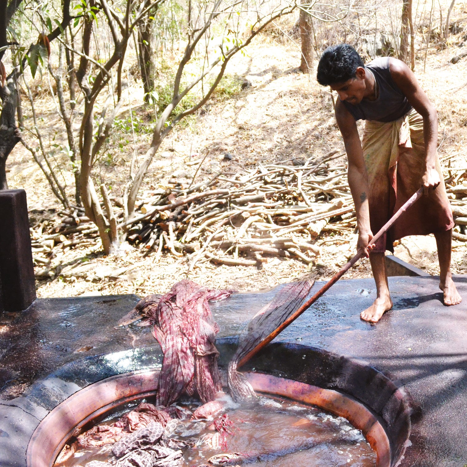 Bagh Print